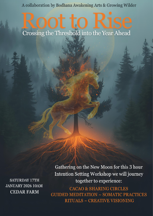 Root to Rise - Crossing the Threshold into the Year Ahead - 17th January 2026 at Cedar Farm, Mawdesley