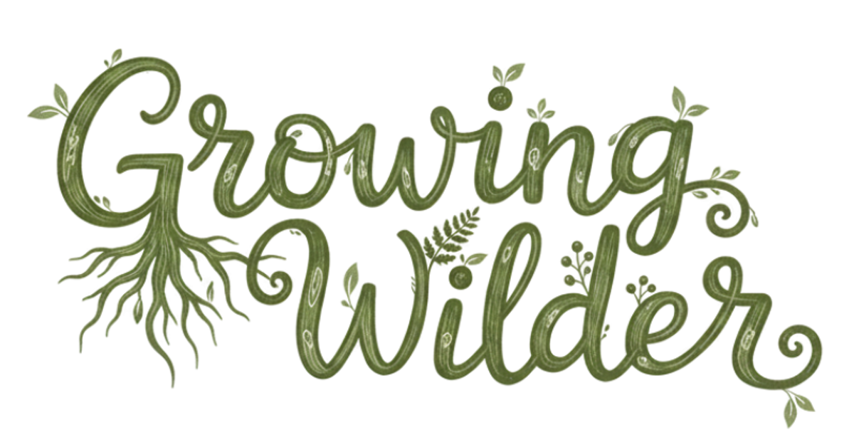 Growing Wilder - Forest Therapy, Trees & Apothecary | Lancashire
 – Growing Wilder with Rachael Cartmell